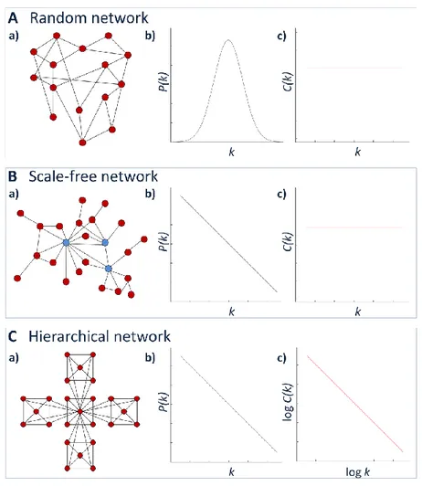 Figure  6.  Layout  of  random  (A),  scale-free  (B)  and  hierarchical  network  (C)