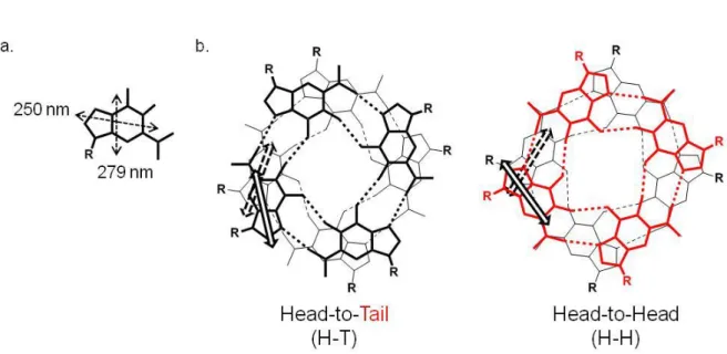Figure  2.1.5.2:  a.  Representation  of  π-π*  axis  polarized  transitions  in  guanine  structure;  b