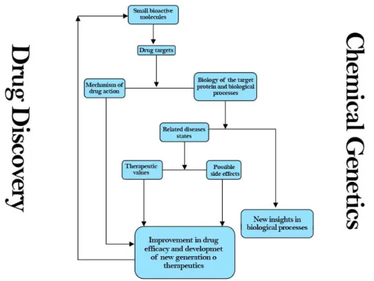 Figure 9. Interconnections between Drug Discovery and Chemical Genetics. 