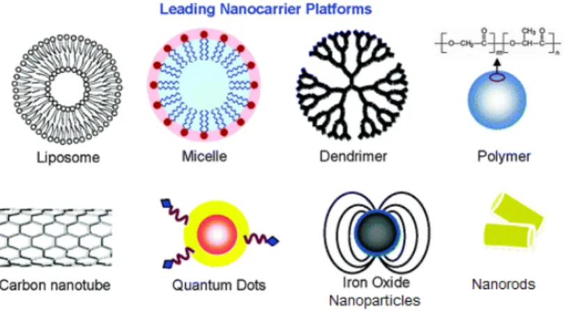 Figure 1.1.2:  examples of nanocomposites nowadays developed. Adapted from W. X. Mai.Integr