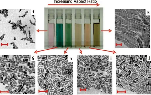 Figure 1.3.2.3:  effect of varying the aspect ratio of gold nanorods. TEM images (scale bars 100 nm)  and picture of different solutions of GNRs whit increasing aspect ratio (from f to j)