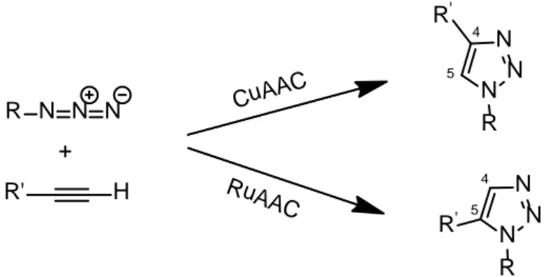 Figure 1.3.4.2 : schematic representation of the Huisgen copper- and ruthenium-catalized azide  alkyne cycloaddition