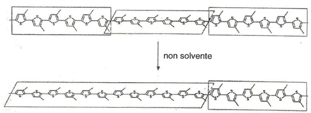 Figura 25. Cambiamento di conformazione per effetto di un non-solvente. 
