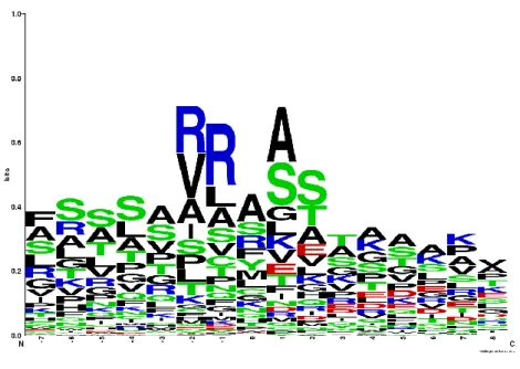Figura 3. Sequence logo delle posizioni  intorno al sito di taglio dei targeting  peptide