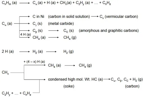 Fig.  1.14.  Formation,  gasification  and  transformation  of  coke  and  carbons  on  metal  surfaces  fromhydrocarbons (a= adsorbed, g= gaseous, s= solid) 