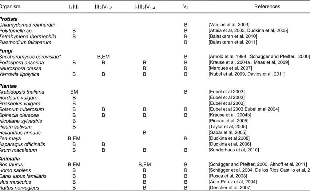 Table 1.1: Supramolecular organization of eukaryotic respiratory complexes (mitochondrial respiratory supercomplexes) 