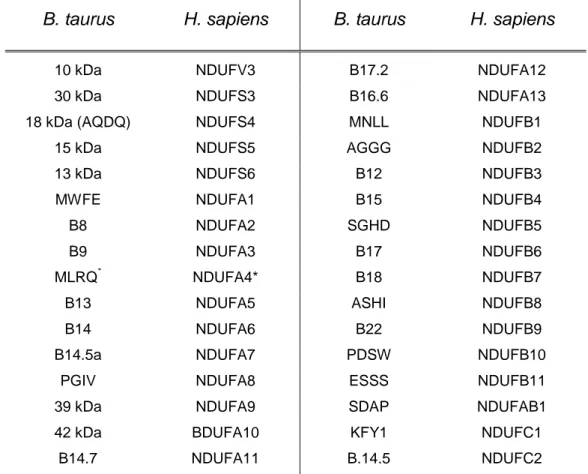 Table 1.4: Nomenclature for the supranumerary subunits of mammalian Complex I 