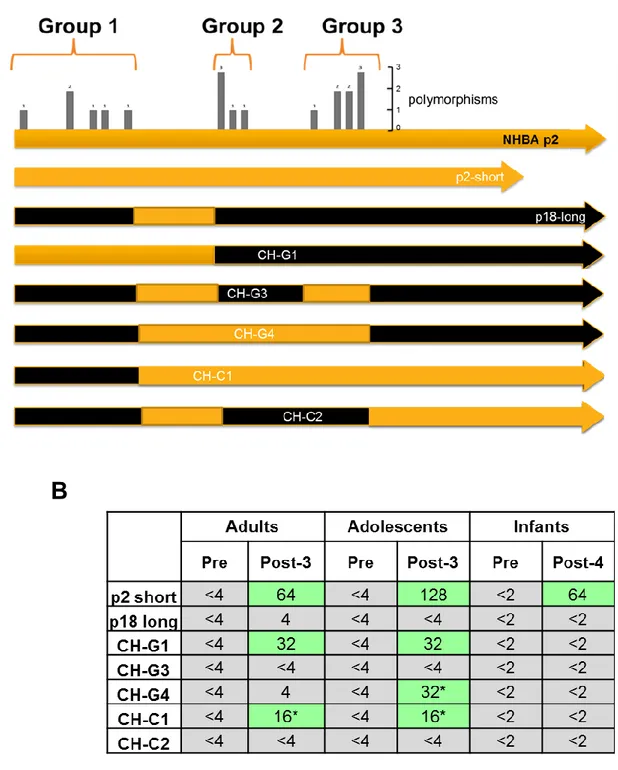 Fig. 9: Generation of Nm recombinant strains expressing NHBA chimaeras 