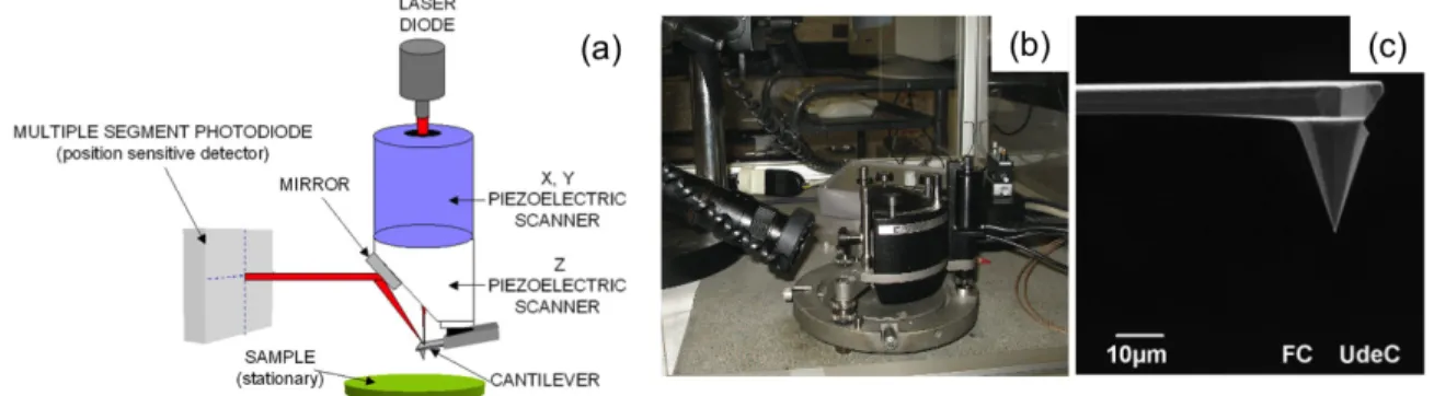 Figure 2.13: (a) Schematic representation of AFM equipment. (b) NT-MDT TM Smena Standalone head (Institute for  the study of Nanostructured Materials, CNR-Bologna, Italy), (c) Image of cantilevers taken by Scanning Electron 