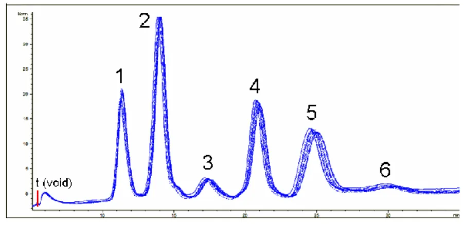 Figure 3 – Separation profiles of the standard protein mixture recorded at 215 nm, representing 13  subsequent injections