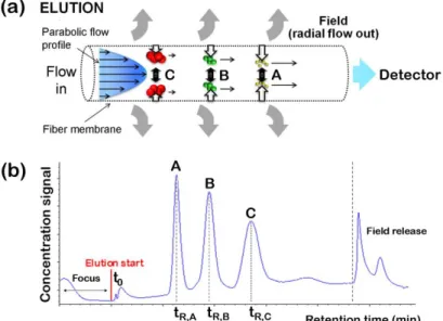 Figure 4 – Retention in HF5: (a) Separation occurring inside the hollow fiber, sample components  A, B and C are eluted towards the detector; (b) typical elution profile, depicting the separated 