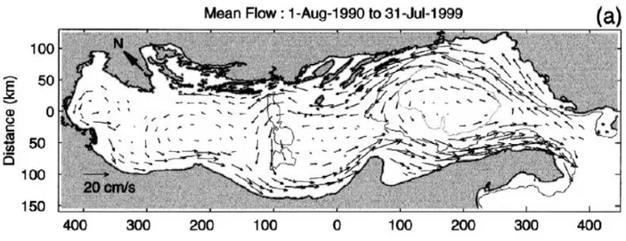 Fig. 2.2. Surface water circulation in the Adriatic Sea. From Poulain (2001).