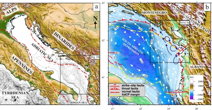 Figure 1. a) the Adriatic Sea between the Alps/Appennines and the Dinaric chains; b) Geodynamic,  morphology and oceanographic setting of the South Adriatic Sea, with location of external thrust as  limits  of  the Adria  microplate  (from  Billi  et  al.,
