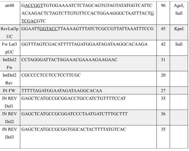 Tabella 3.1: Oligonucleotidi utilizzati per le clonazioni. I diversi siti di restrizione inseriti sono sottolineati