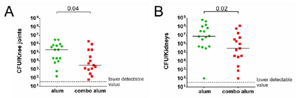 Figure 21. Mice immunized with the S. aureus combo vaccine resulted  protected  against  a  subsequent  systemic  infection  with  S