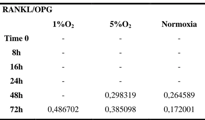 Table 3. RANKL/OPG ratio in the culture media of hypoxic and normoxic MLO-Y4  RANKL/OPG  
