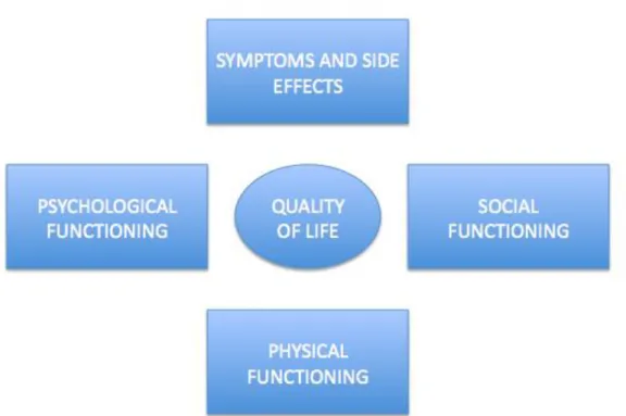 Figura  7.  Espressione  grafica  semplificata  dei  principali  determinanti  della  qualità  di  vita