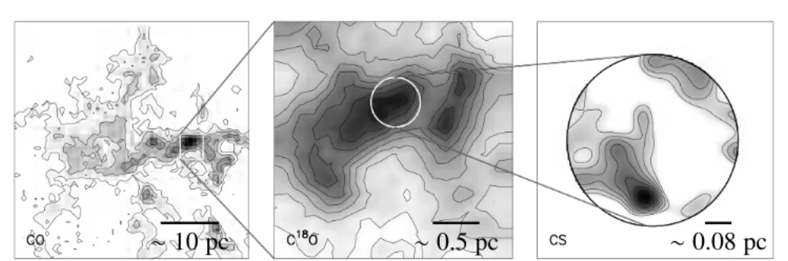 Figure 1.2: Hierarchical structure of a cloud as observed in real data (Rosette cloud).