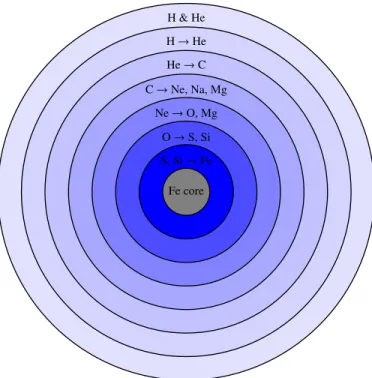 Figure 1.6: Core of a massive star in the last phases of its life, before it explodes as a supernova.