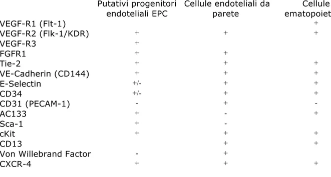 Tabella 1 Analisi fenotipica dei progenitori endoteliali  Putativi progenitori  endoteliali EPC   Cellule endoteliali da parete  Cellule  ematopoietiche  VEGF-R1 (Flt-1) + VEGF-R2 (Flk-1/KDR) +  +  + VEGF-R3 +  FGFR1 +  +  Tie-2 +  +  + VE-Cadherin (CD144)