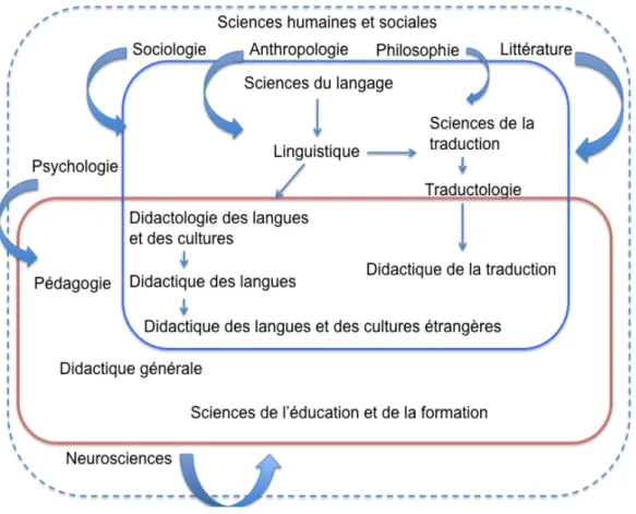 Figure 4: schéma récapitulatif des apports multidisciplinaires en didactique des langues- langues-cultures et en didactique de la traduction 