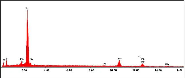 Figura 21. Spettro SEM-EDAX che rileva la composizione chimica del gettone monetale, composto di piombo e carbonati