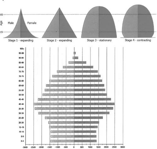 Figura 16 – Sopra: forme della piramide della popolazione per le quattro fasi  rappresentative di variazione demografica