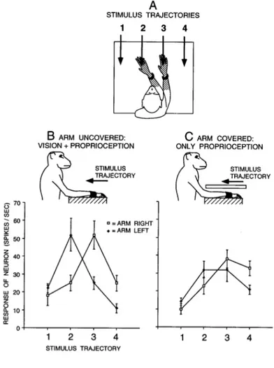 Figure 1.2 Visual responses of a typical premotor neuron with a tactile RF (hatched) on the forearm  and hand, and a visual RF within 10 cm of the tactile RF