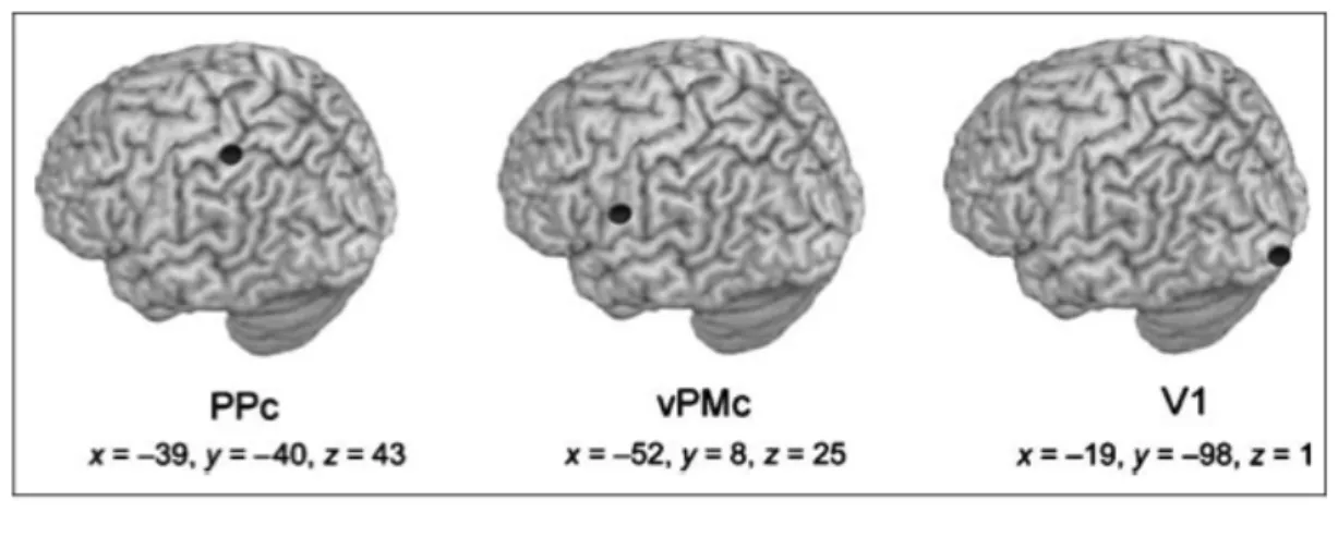 Figure 3.2 Brain locations and mean Talairach coordinates of the coil position to induce virtual lesion  by means of rTMS