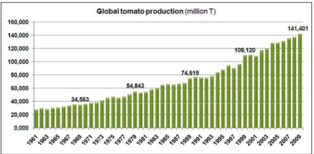 Figura 1 Produzione mondiale di pomodoro in milioni di tonnellate 