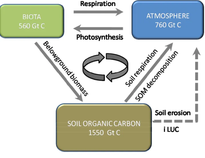 Figure 1.2. Role of soil in C cycling (adapted from Lal &amp; Kimble, 1997) 