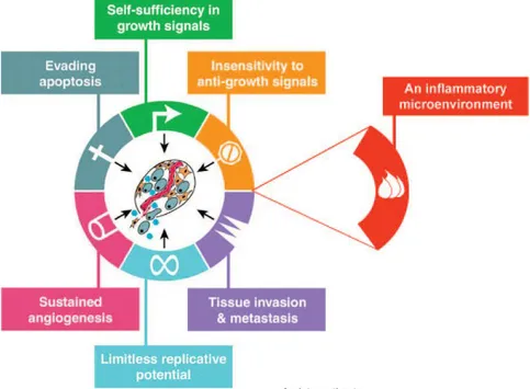 Figure  2:  Inflammation as  the seventh hallmark of cancer. An  integration  to the six  hallmarks of cancer (from Mantovani (2009b), adapted from Hanaham et al., 2000)