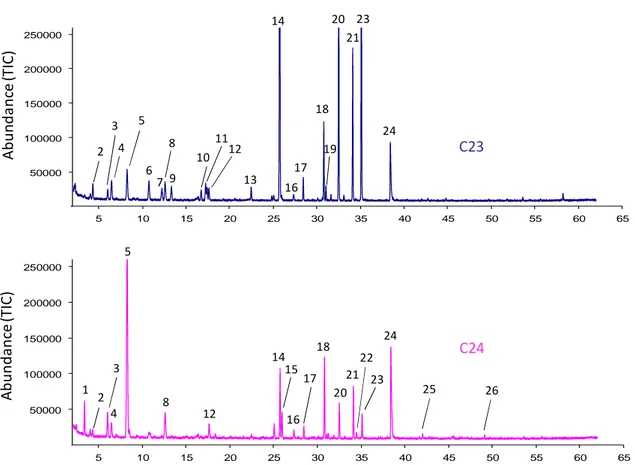 Figure 8 E. GC chromatograms of volatile compounds for samples C23 and C24 (see Table 6 E)