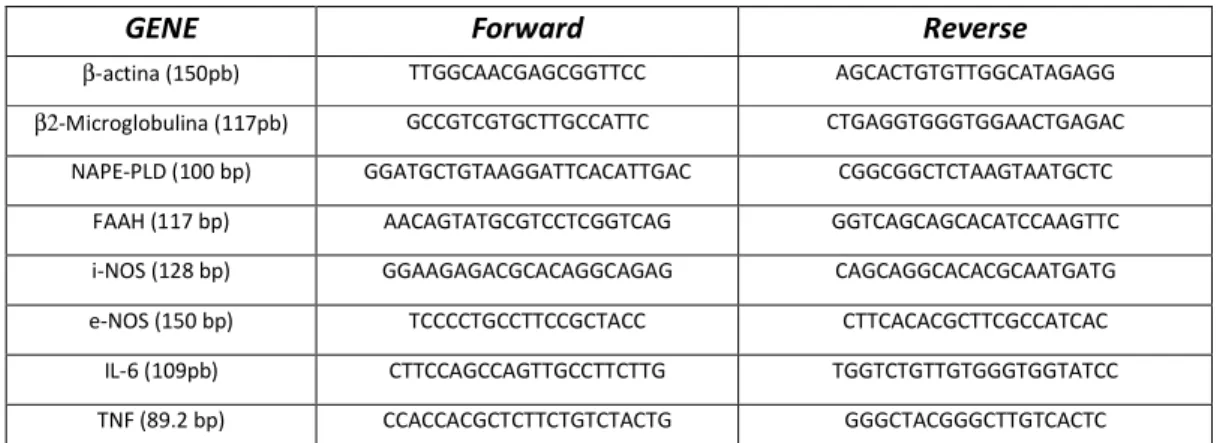Tabella 1. Sequenze oligonucleotidiche dei primers forward e dimensioni attese (in paia di basi, bp)  dell’amplificato