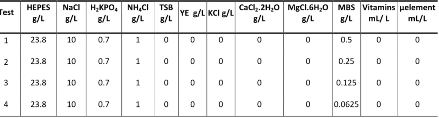 Table 2.8 – Test  di minimizzazione del terreno di coltura per T. neapolitana modATCC 1977 con melasso e MBS  come agente riducente 