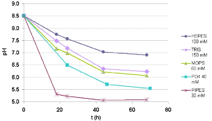 Fig. 3.4 – Variazione del pH nel tempo in colture di T. neapolitana su ATCC 1977 medium