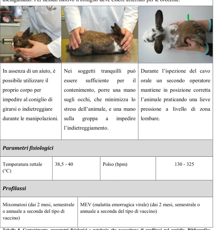 Tabella  8.  Contenimento,  parametri  fisiologici  e  patologie  che  necessitano  di  profilassi  nel  coniglio