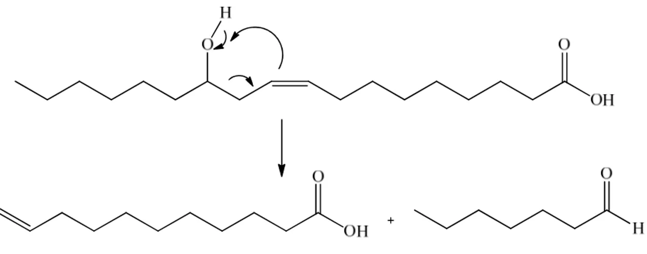 Fig.  7.  Riarrangiamento  di  tipo  McLafferty  da  acido  ricinoleico  ad  acido  undecenoico ed eptaldeide