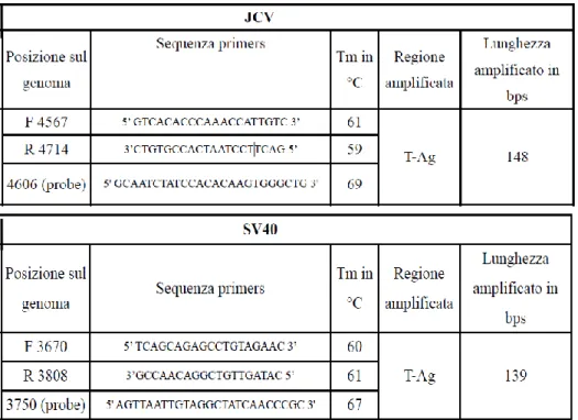 Tab. 6: Primers e sonde utilizzate per i saggi di PCR.  