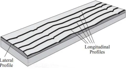 Figura 5: Profili longitudinali dell'elevazione del manto stradale (Sayers &amp; Karamihas, 1998) 