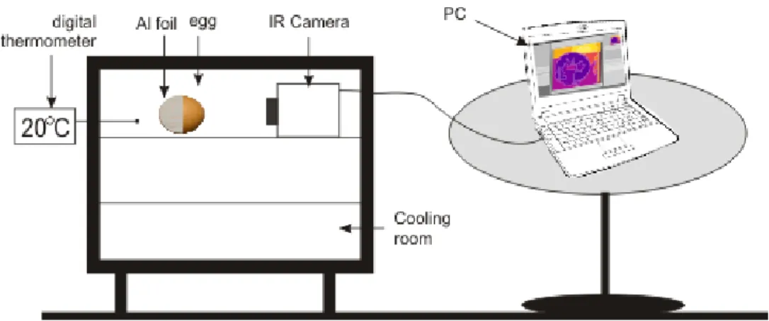 Figure 5 Infrared Thermocamera FLIR A325 setup 