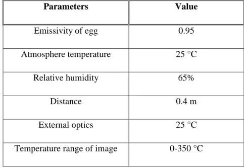 Table  3  Parameters  of  the  infrared  thermocamera  FLIR,  A  325  used  during the experiment