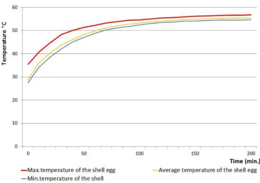Figure 11 Time-temperature curves of the egg shell measured and  calculated 