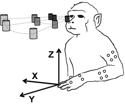 Figure 9.  Cartesian coordinates x, y and z 