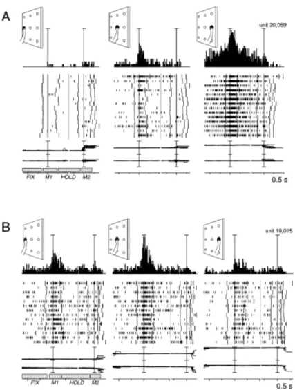 Figure 2A-B. Examples of reach-related neurons modulated by movement direction  (Fattori et al., 2005) 