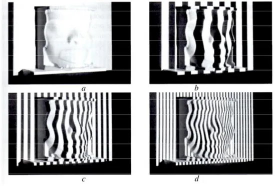 Figure 1.7 Example of a structured light scanning technique on an object surface: 