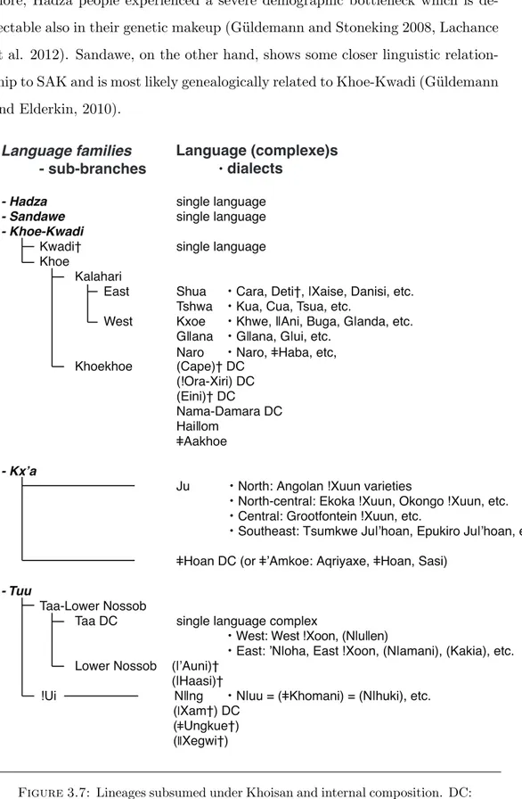 Figure 3.7: Lineages subsumed under Khoisan and internal composition. DC: