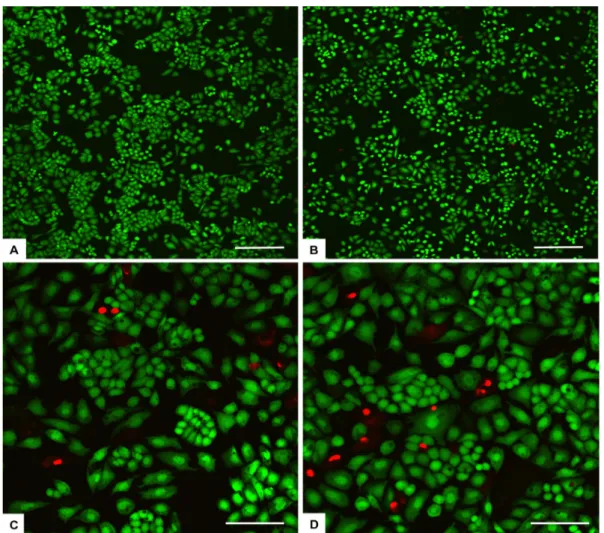 Fig. 13. Analysis of cell viability. Cell viability was analysed by the Live/Dead assay (n = 2)