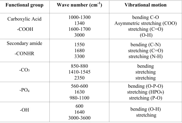 Table 1. Intervals of wave numbers (cm -1 ) characteristic of collagen and hydroxyapatite 