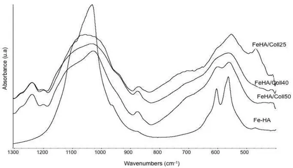 Fig. 5. FTIR analysis of FeHA and FeHA/Coll composites synthesized at 25; 40 and 50°C